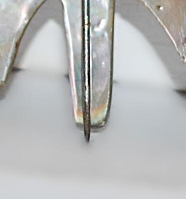 Mother-of-Pearl MOTH BROOCH (1¾" x 1¼") NOTE: This has an OPEN PIN--NO LOCK