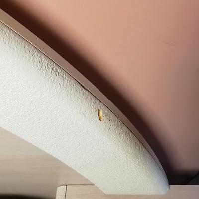 Sale Photo Thumbnail #241