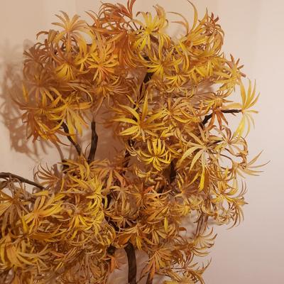 Sale Photo Thumbnail #331