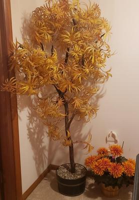 Sale Photo Thumbnail #333