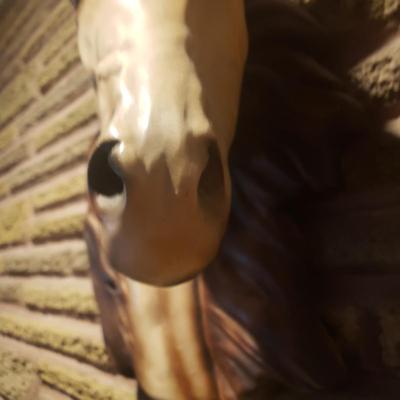 Sale Photo Thumbnail #86