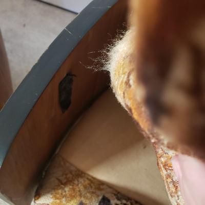 Sale Photo Thumbnail #389