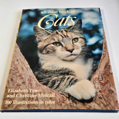 LOT 69L: Everything Cats, Books, Music Box, Ring Holder, Figurines, and More