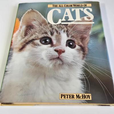 LOT 69L: Everything Cats, Books, Music Box, Ring Holder, Figurines, and More