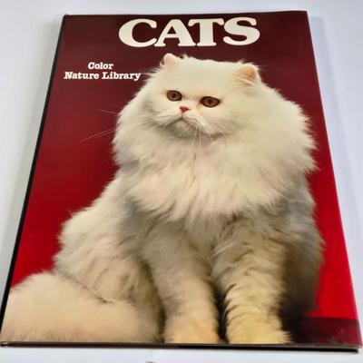 LOT 69L: Everything Cats, Books, Music Box, Ring Holder, Figurines, and More