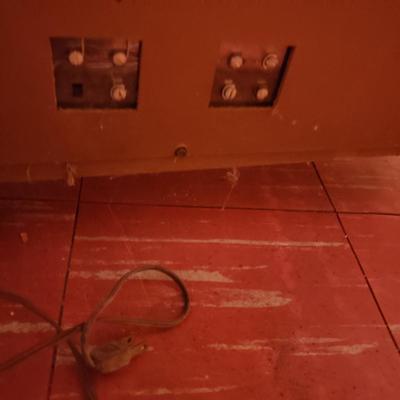 LOT 84B: Vintage Magnavox Stereo/Record Player Console