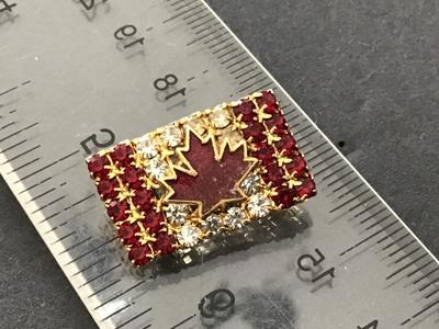 Vintage Rhinestone Canada Pin