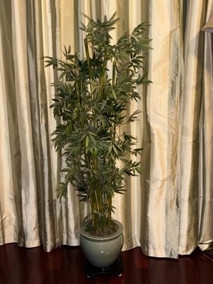 Faux Plant Never Needs Watering Looks Real