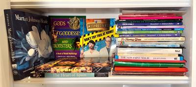 Bookshelf #3 All Books on Shelf Included