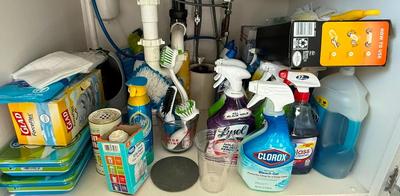 "Truckload LOT" includes contents of apartment as pictured in almost 200 images! - Bulk Buyer, Reseller, Major Collector -...