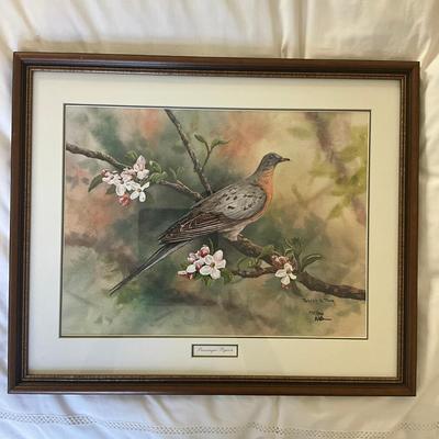 B235 Signed & Numbered "Passenger Pigeon" Lithograph By Robert A. Tino