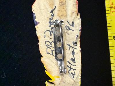 Signed Wooden Feather Pin