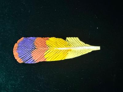 Signed Wooden Feather Pin