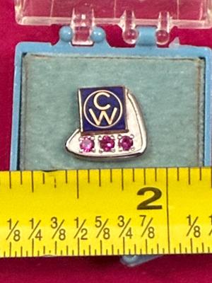 10K Gold Ruby Pin “CW”