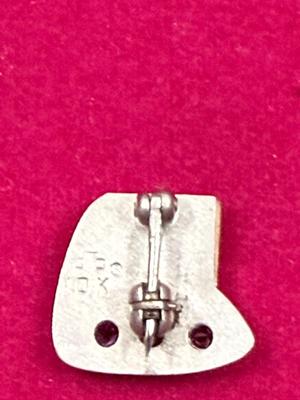 10K Gold Ruby Pin “CW”