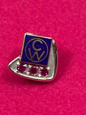 10K Gold Ruby Pin “CW”