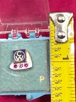 10K Gold Ruby Pin “CW”