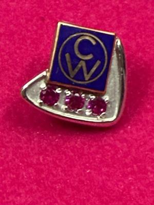10K Gold Ruby Pin “CW”