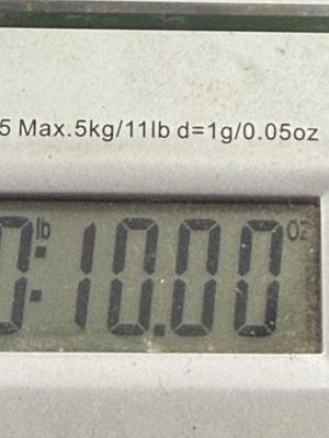 Turquoise Like Stone Necklace