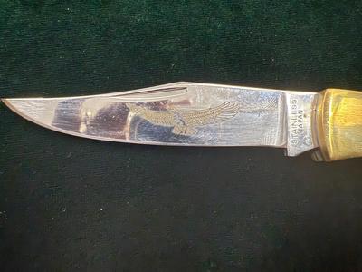 American Eagle Buck Knife