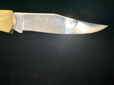 American Eagle Buck Knife