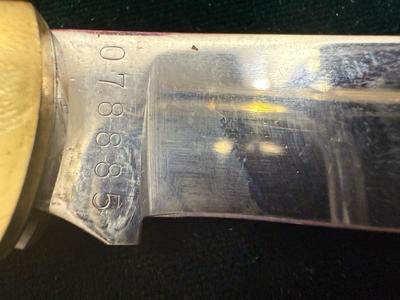 American Eagle Buck Knife