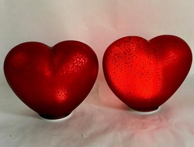 Sale Photo Thumbnail #556: In good used condition, both lights work, one shown one heart on low setting and one shown on high..