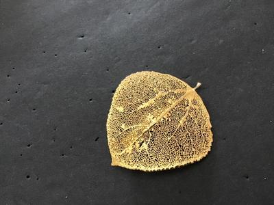 Sale Photo Thumbnail #144: Please see attached