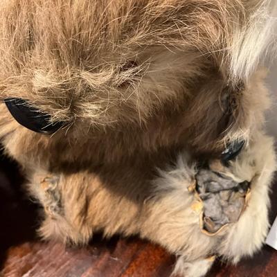 M261 Set Of Five Koala Bears Made Of Real Fur