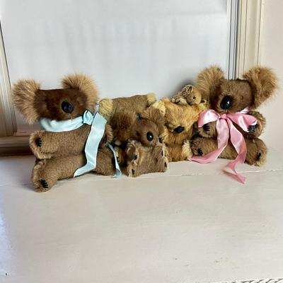 M261 Set Of Five Koala Bears Made Of Real Fur