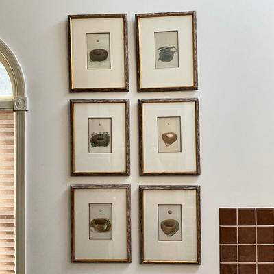 M269 Set Of Six Antique Colored Bird Nest By Francis MOrris
