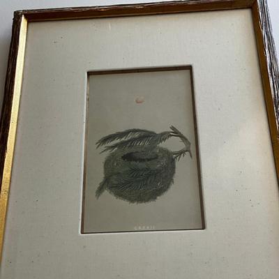 M269 Set Of Six Antique Colored Bird Nest By Francis MOrris