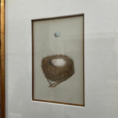 M269 Set Of Six Antique Colored Bird Nest By Francis MOrris