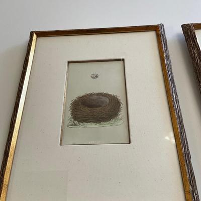 M269 Set Of Six Antique Colored Bird Nest By Francis MOrris