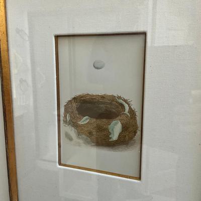 M269 Set Of Six Antique Colored Bird Nest By Francis MOrris