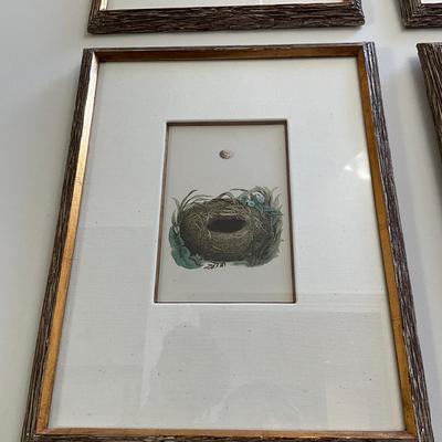 M269 Set Of Six Antique Colored Bird Nest By Francis MOrris