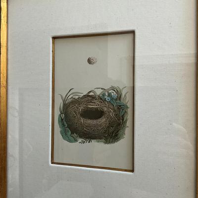 M269 Set Of Six Antique Colored Bird Nest By Francis MOrris