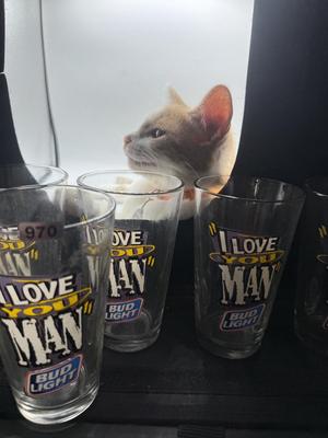 Sale Photo Thumbnail #1119: .