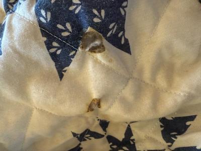 Sale Photo Thumbnail #1236: Some damage as pictured