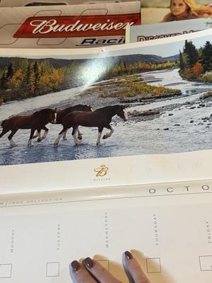 Sale Photo Thumbnail #1905: .