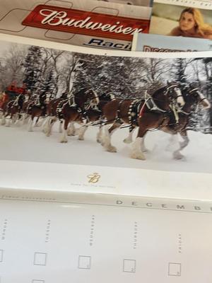 Sale Photo Thumbnail #1904: .