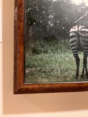 H402 Set of 6 Custom Burl Wood Framed African Animal Photographs