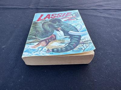 VINTAGE 1967 “LASSIE - Adventure In Alaska” BOOK BY WHITMAN AND BIG LITTLE BOOK