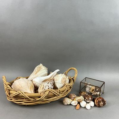 M436 Basket Of Shells With Glass Box