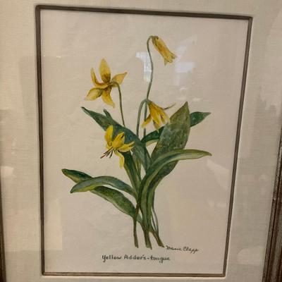 L464 Set Of Four Framed Watercolors By Marie Clapp