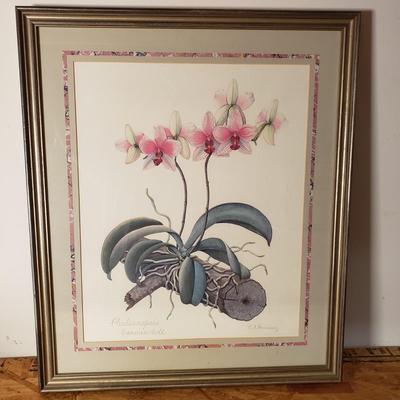 LOT 191: Set of 3 Framed Floral Art Prints