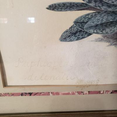 LOT 191: Set of 3 Framed Floral Art Prints