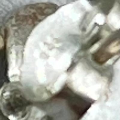 LOT 72: Happy Holidays! Adorable Holiday Themed Earring Collection - 925 Angels and More