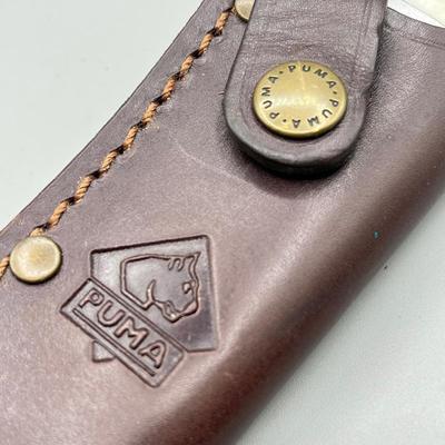 LOT 93: Fixed Blade Knife Collection - Schrade and More