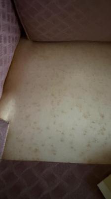 Two Drexel Queen Anne Style Upholstered Wingback Chairs (LR-MG)